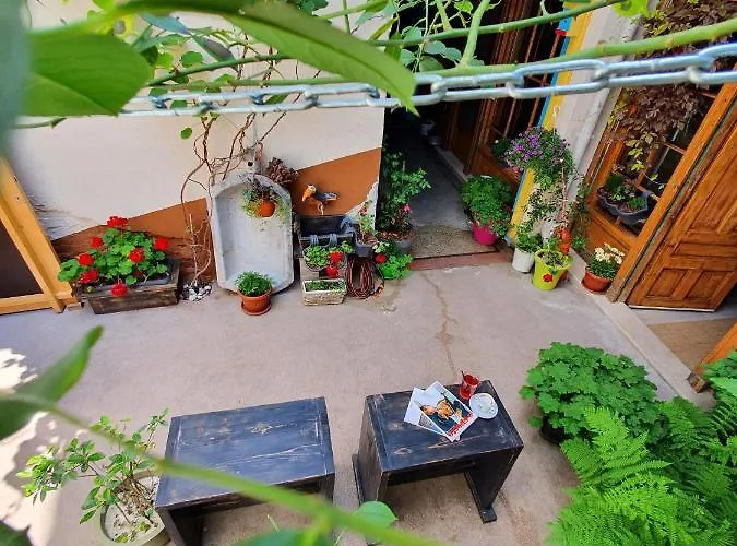 招待所 Boutique Yes For 3*