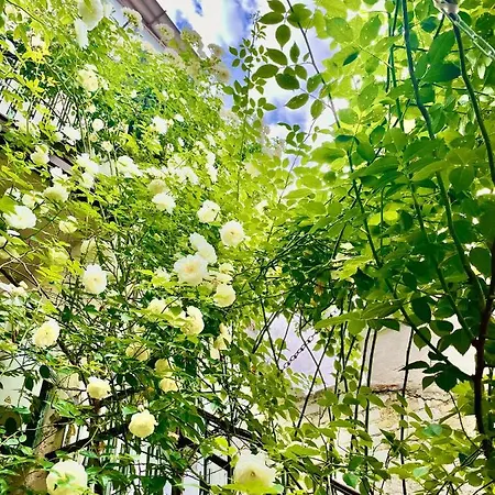 Boutique Yes For 3* Plovdiv