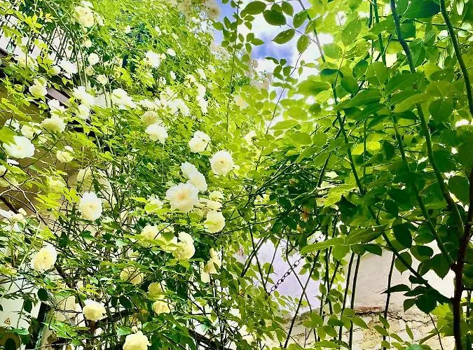 Boutique Yes For 3* Φιλιππούπολη